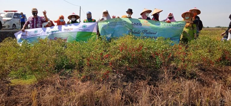 PDA Demak dan Jepara Bersama Lazismu Adakan Program Peduli Petani