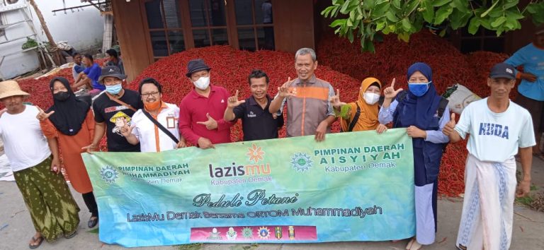 Senyum Petani Cabe Sambut Program  Lazismu Dan Pd Aisyiyah Demak Peduli Petani