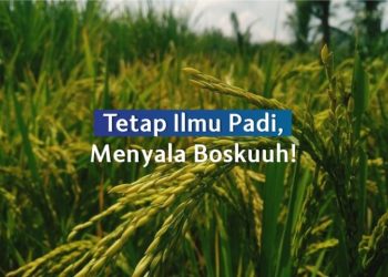 Tetap Ilmu Padi, Menyala Boskuuh!