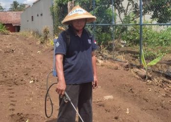 Lazismu Jateng Dukung Program Budidaya Sorgum untuk Pemberdayaan Masyarakat