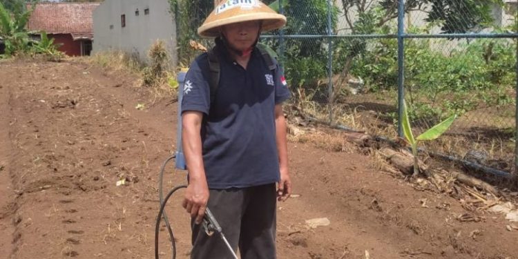 Lazismu Jateng Dukung Program Budidaya Sorgum untuk Pemberdayaan Masyarakat