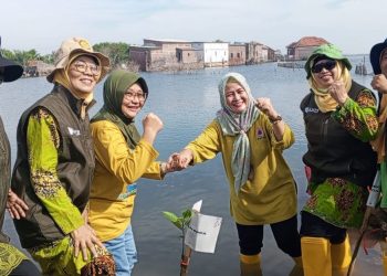 Aksi Nyata Aisyiyah Lakukan Penanaman 1 Juta Manggrove