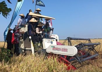 Diapresiasi Abdul Mu’ti, Padi Protani MPM PWM Jateng Cocok untuk Penanganan Stunting