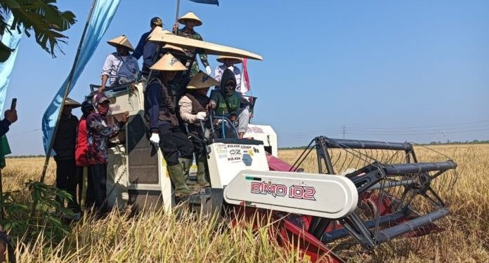 Diapresiasi Abdul Mu’ti, Padi Protani MPM PWM Jateng Cocok untuk Penanganan Stunting