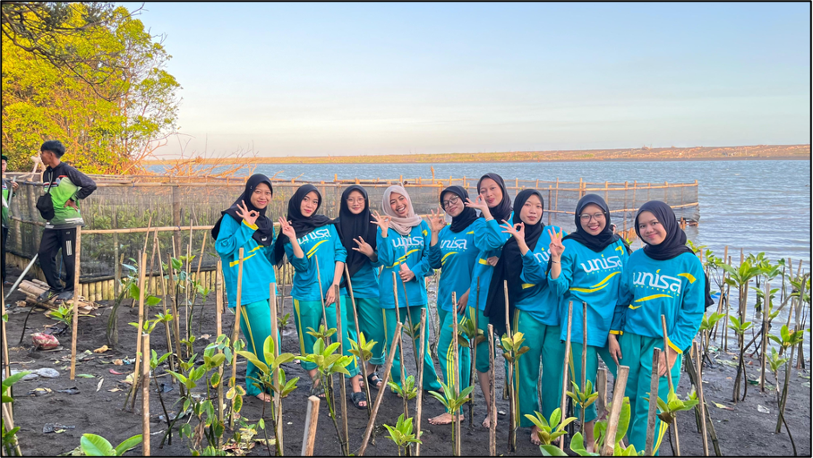 Mahasiswa UNISA Tanam 1.500 Mangrove di Pantai Baros, Wujudkan AIK dalam Aksi Nyata
